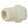 Charlotte Pipe 1/2 In. Male Thread to CPVC Adapter